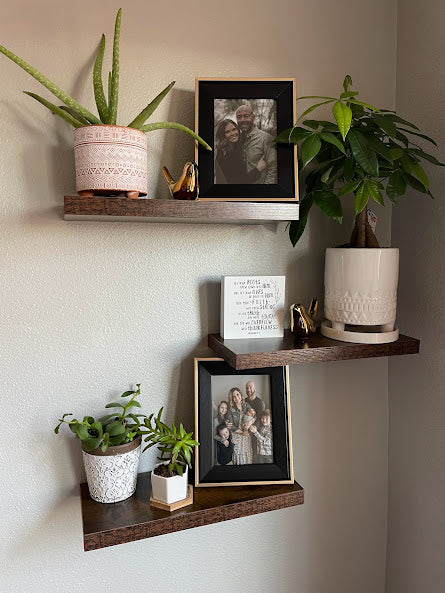 I have become a plant person, what the heck!